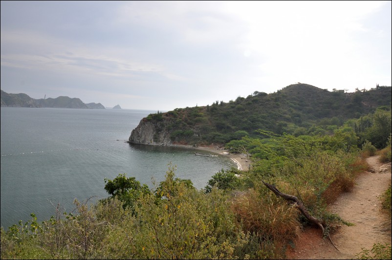 DSC_0800_1