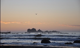 Image00077