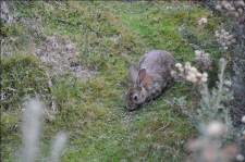 Image00050